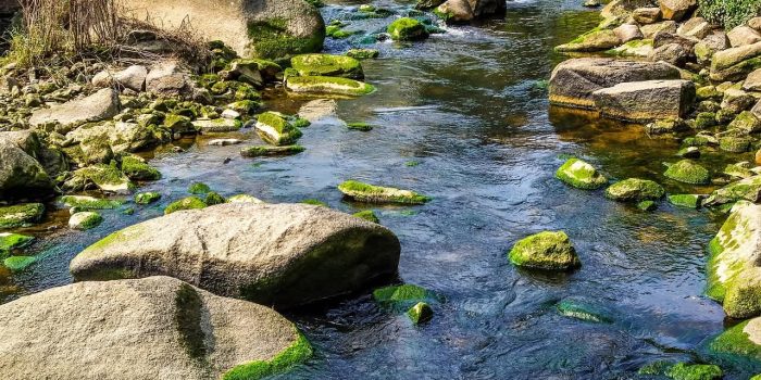 Stembevrijding bij StemKracht Assen – Ontdek de kracht van je unieke stem